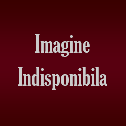 Candela Sf Masa din Inox